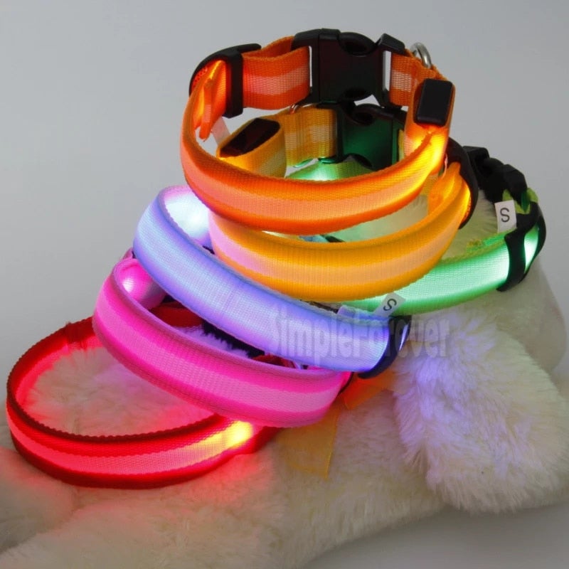 Stacked LED dog safety collars with multicolor glow: orange, purple, pink, and green.