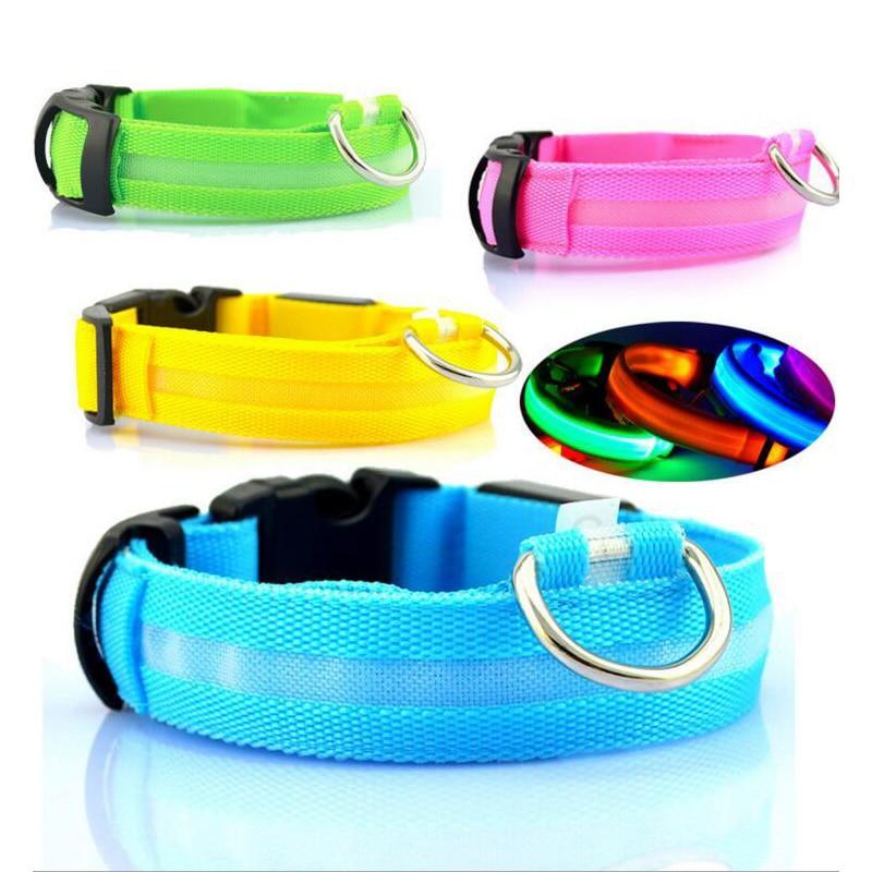 LED dog safety collars in blue, green, pink, and yellow with metal D-ring hardware.