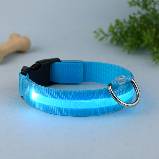 LED dog safety collar in bright blue with glowing light strip and metal D-ring clasp.