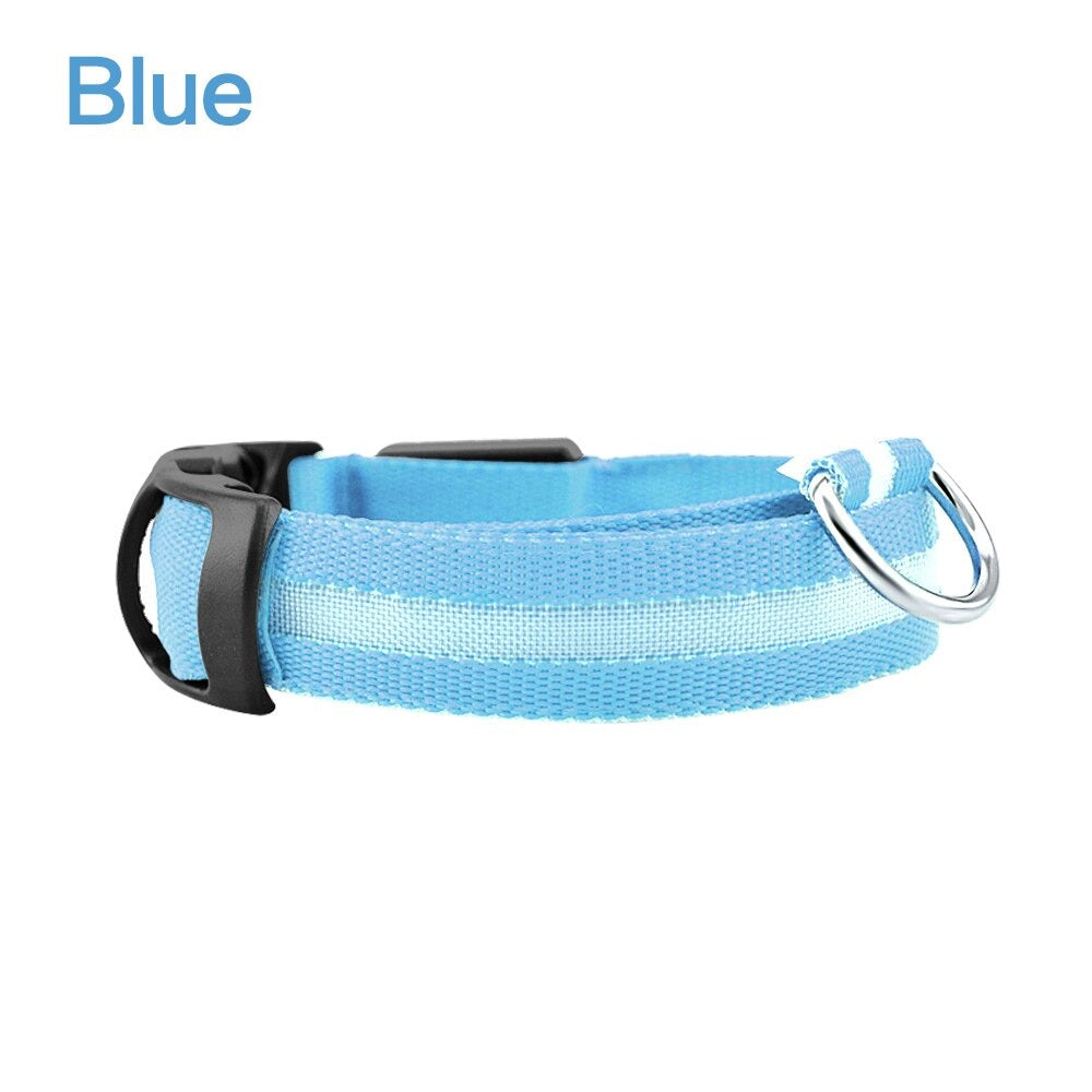 Blue LED dog safety collar with black buckle and metal D-ring, unlit.