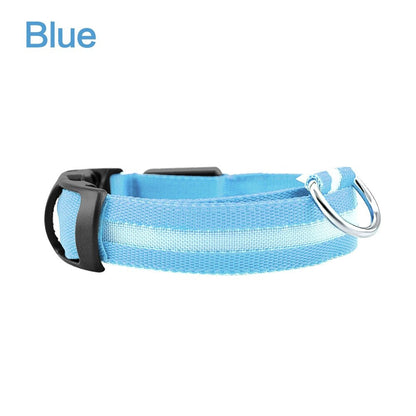 Blue LED dog safety collar with black buckle and metal D-ring, unlit.