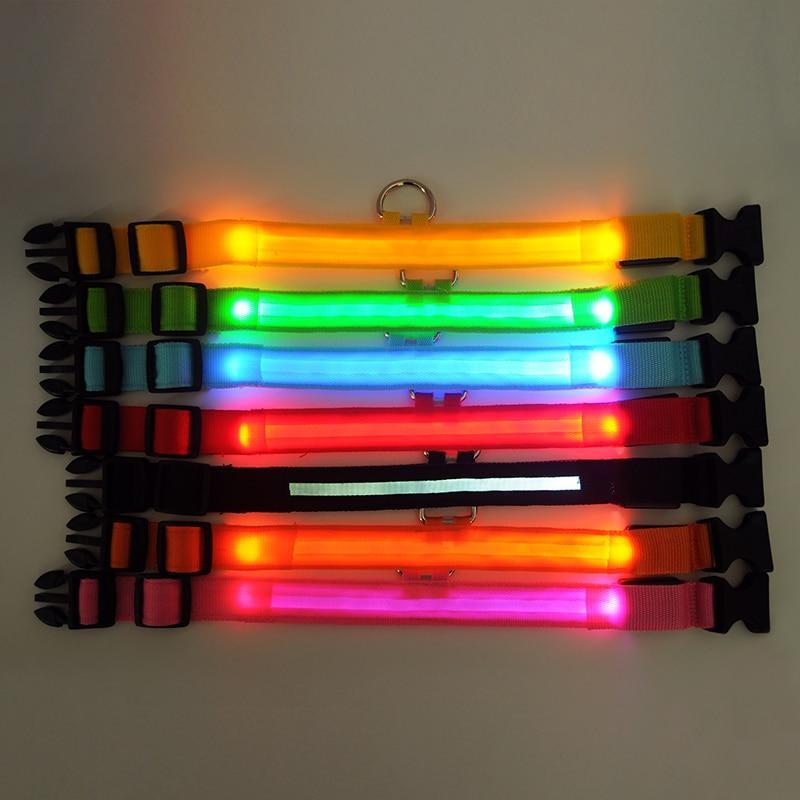 Multiple LED dog safety collars hanging with bright multicolor light bars and buckles.