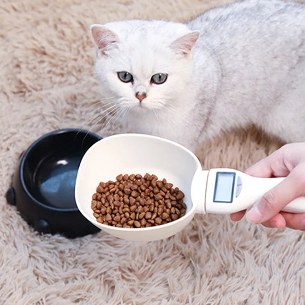 Digital pet food measuring scoop held near a cat, filled with dry kibble