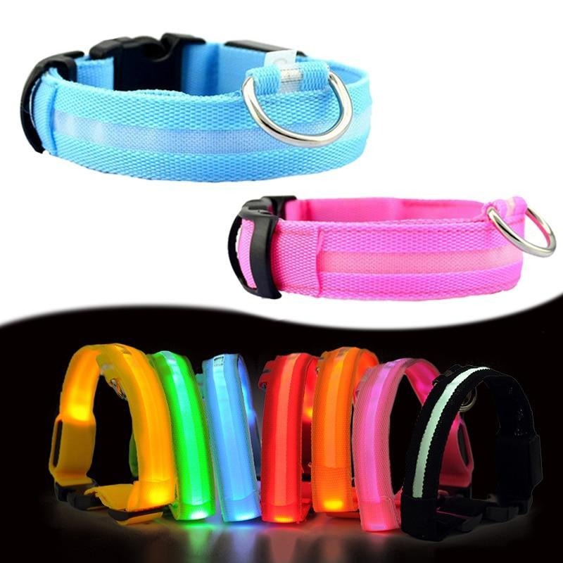 LED dog safety collars in blue and pink with bright LEDs along the strap edges.