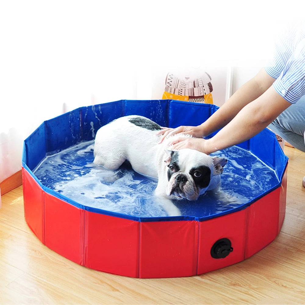 Foldable pet swimming pool with red sides, dark blue rim, and drain plug
