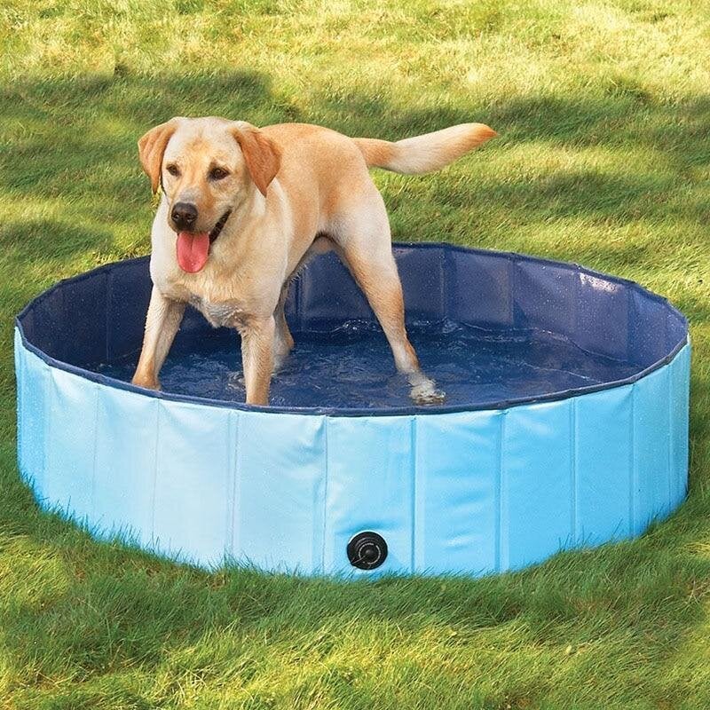 Foldable pet swimming pool with light blue sides, dark blue rim, and drain plug