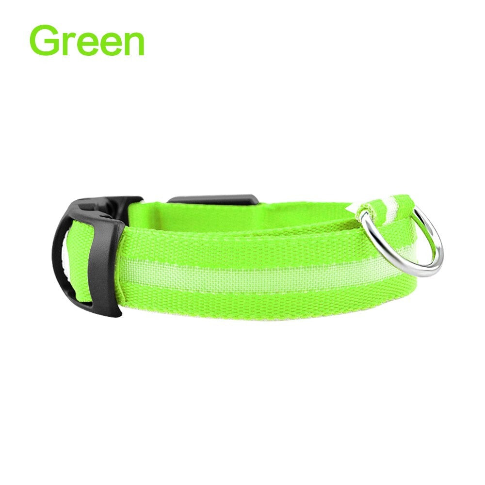 Green LED dog safety collar with black buckle and metal D-ring, unlit.